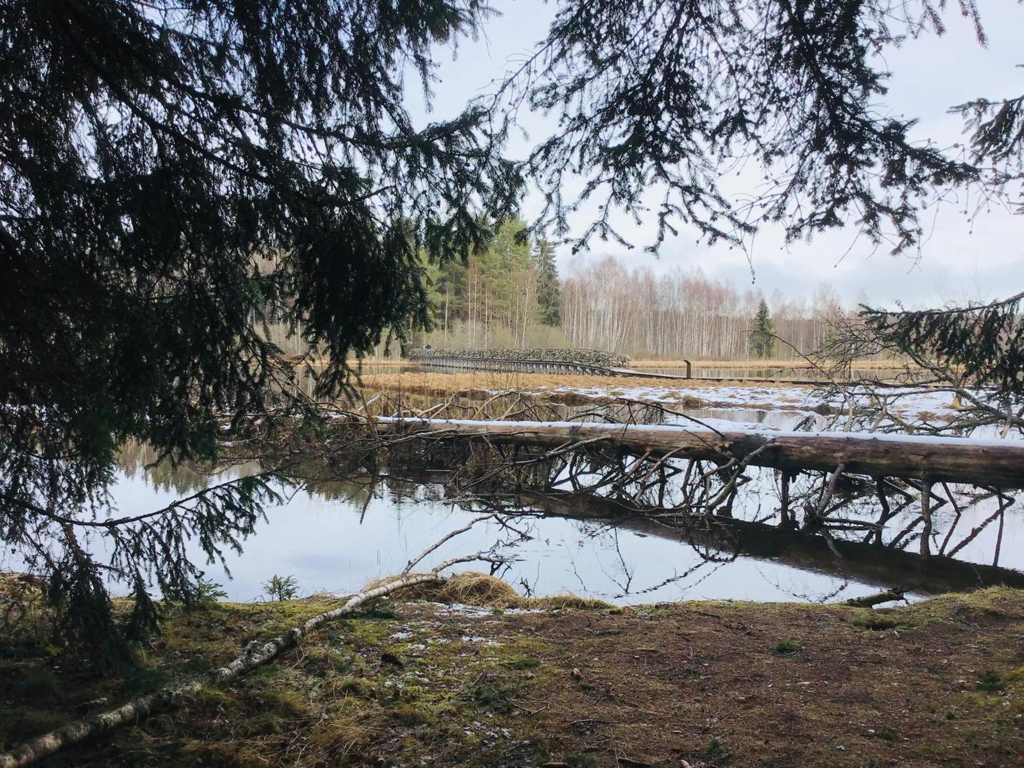 Apartmany A&Z Hořice na Šumavě Camera foto